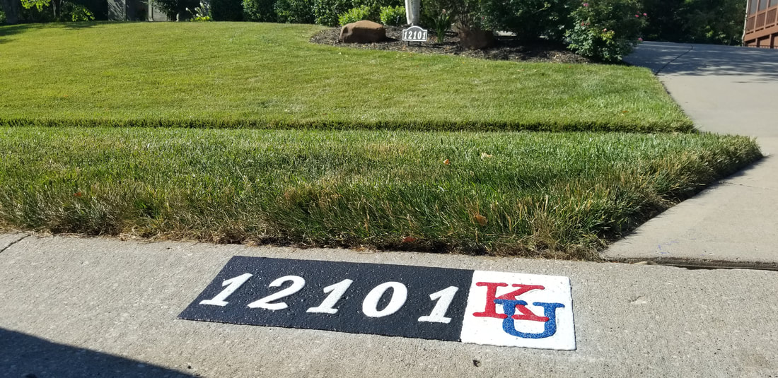 Reflective Curb Numbers by Lucian Tandara (LT)